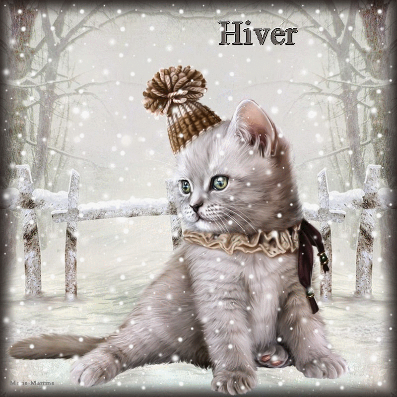 RÃ©sultat de recherche d'images pour "gif animÃ© chat neige"